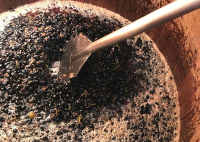 Single Barrel Fermentation-oregon-winemaker-tours